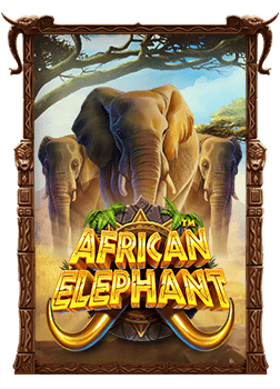 เคล็ดลับสมัคร sweet bonanza เล่นยังไงให้ปังสุดๆ